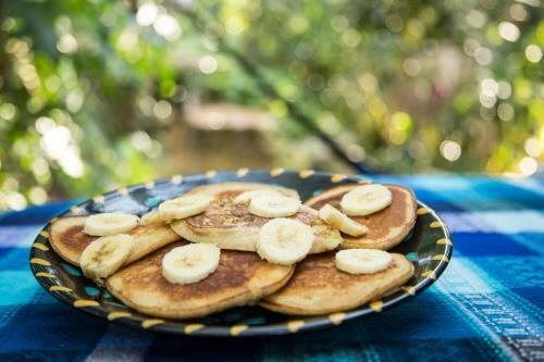 Bed & Breakfast La Selva Mariposa