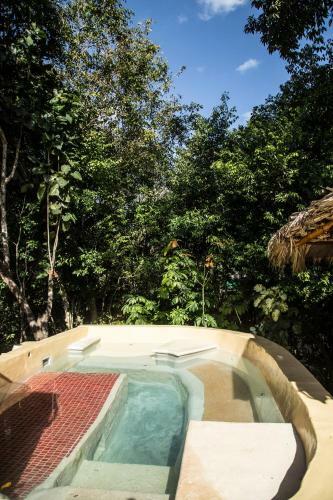Bed & Breakfast La Selva Mariposa