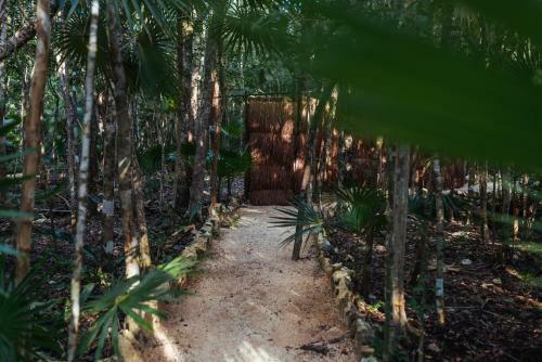 Hotel Ajal Tulum Tree House