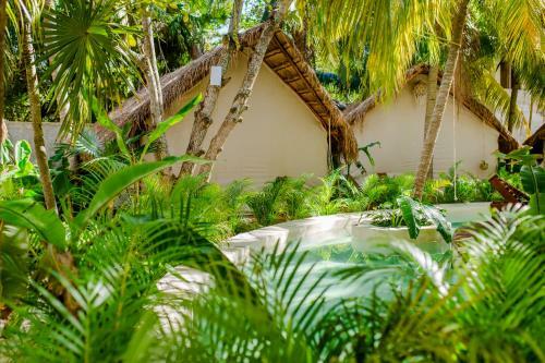 Hotel Serena Glamping Tulum