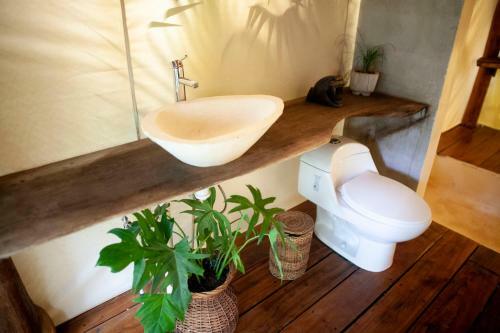 Hotel Serena Glamping Tulum