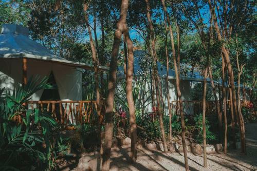 Huaya Camp