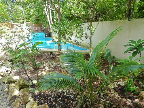 Villa Magical Tulum Jungle Home - Beautiful And Sublime