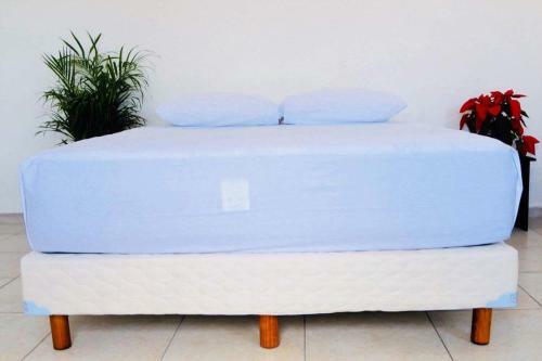 Bed & Breakfast Casa Babel