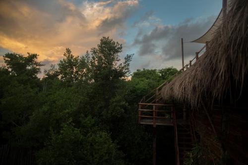 Hotel Amor Rooms