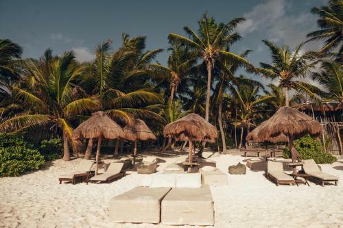 Hotel Tribal Tulum