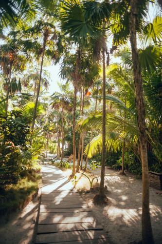 Hotel Tribal Tulum