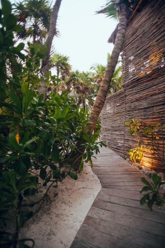 Hotel Tribal Tulum