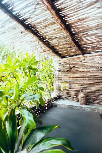 Hotel Tribal Tulum