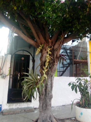 Hostal El Toque De Maria