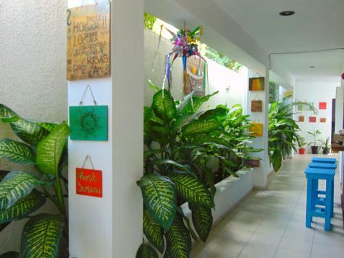 Bed & Breakfast Lib�lula Valladolid