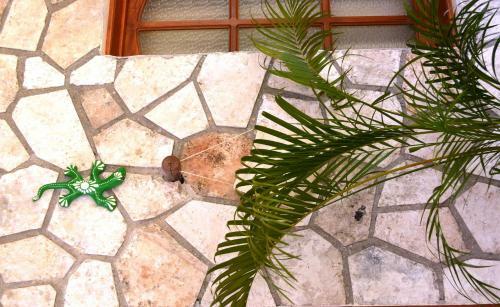 Hotel Casa San Juan