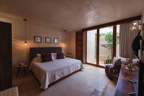 Colonte Hotel Origen
