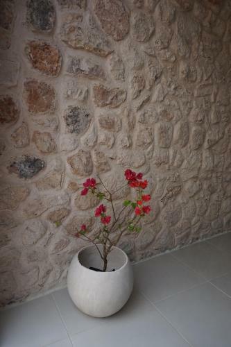 Hotel Casa Valentina Boutique