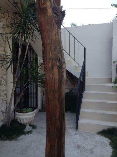 La Casa Natural