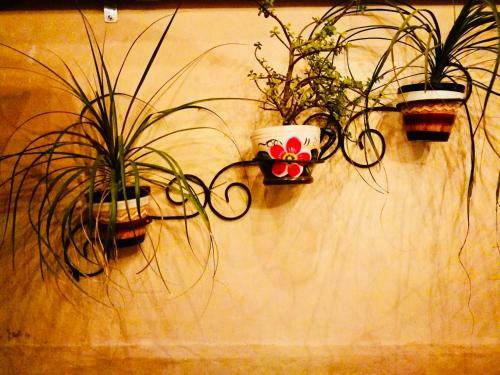 Bed & Breakfast Hostal Casa Chauac Ha