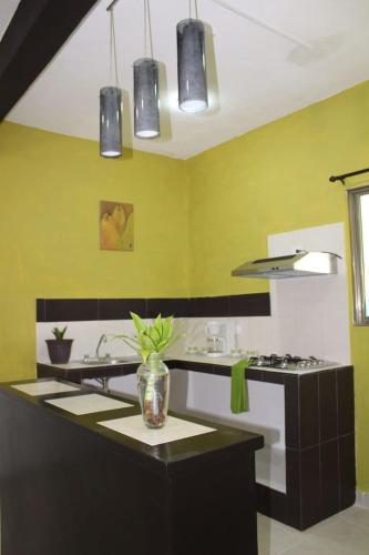 Casa Fernery