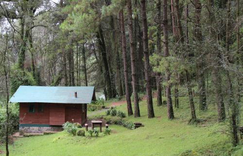 Hotel Caba�as Alpinas L�pez Fontes