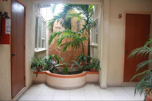 Apartamento Amueblados Del Mar