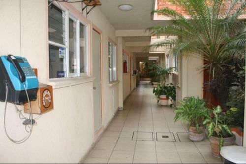 Apartamento Amueblados Del Mar