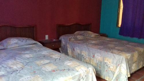 Hotel Maria Isabel Plaza