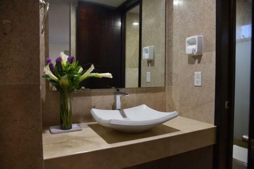 Hotel Suites San Pedro