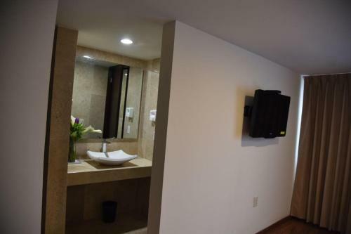 Hotel Suites San Pedro