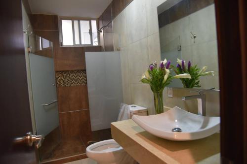 Hotel Suites San Pedro