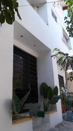 Apartamento Estudio Centro Zihuatanejo