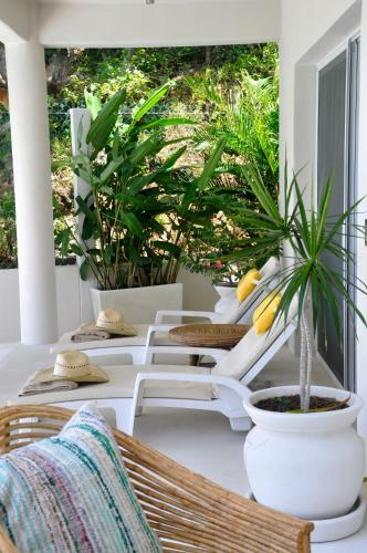 Hotel Casa Cometa