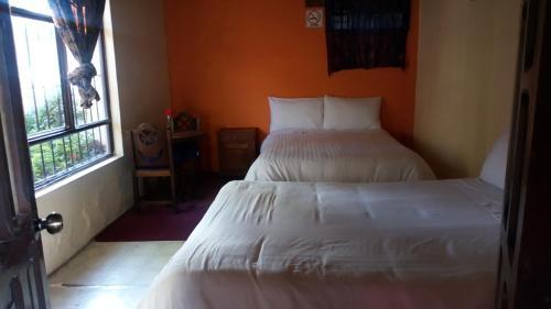 Efecto Chiapas Hostal