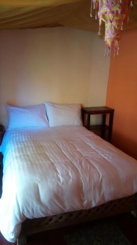 Efecto Chiapas Hostal