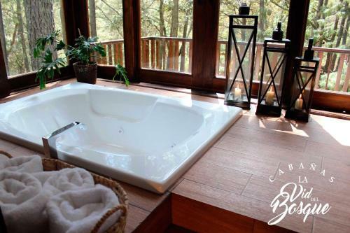 Hotel Caba�as La Vid Del Bosque