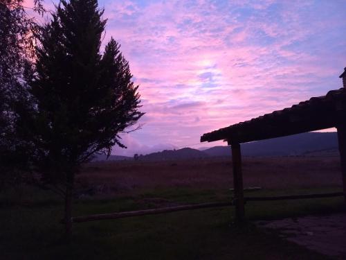Lodge Caba�a Manzanitos