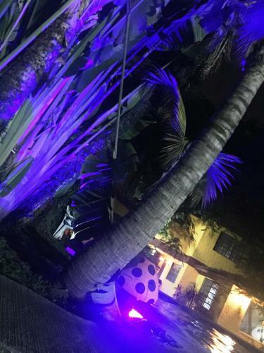 Casa Jardin Paraiso