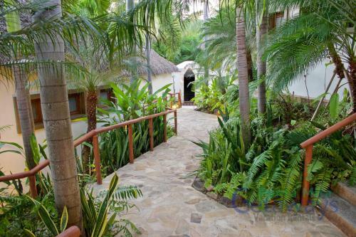 Apartamento Haixa Jungle View