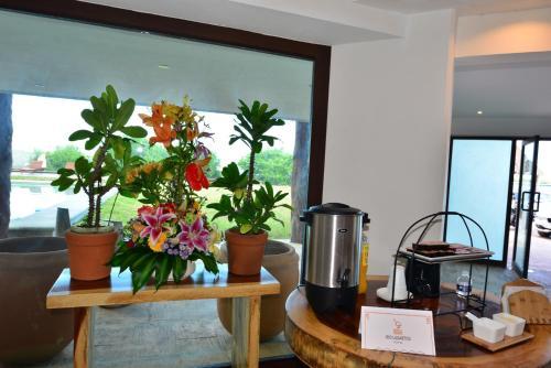 Hotel Rio Lagartos