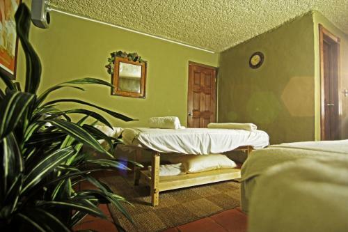 Puerto Nuevo Baja Hotel & Villas