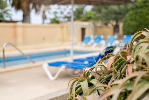 Zgugina Holiday Home