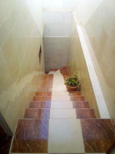 �sidi