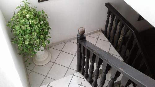 Hostal Hospedaje Altamira