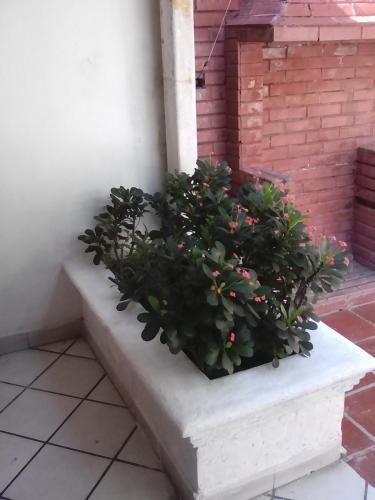 Hostal Hospedaje Altamira