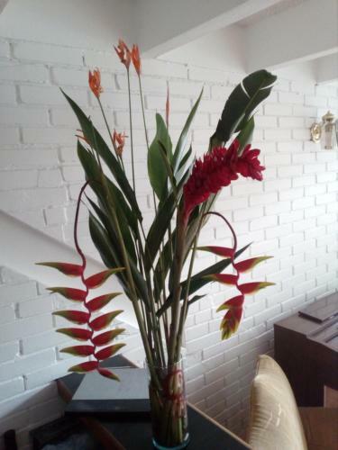 Albergue Hostal Arias Bogot�