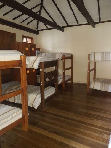 The Cranky Croc Hostel