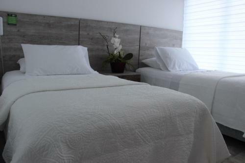 Ari Hotel