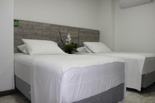 Ari Hotel