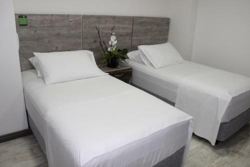 Ari Hotel