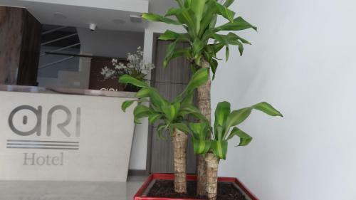 Ari Hotel