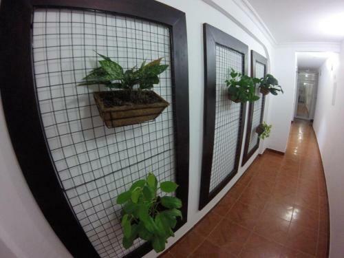 Apartamento Charlot Apastaestudios