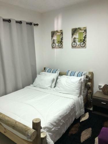Para�so Hostal Boutique